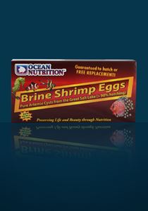 Ocean Nutrition Brine Shrimp eggs box 20g